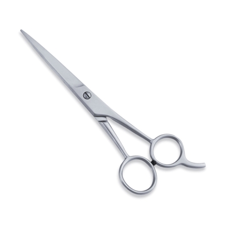 Economy Hair Scissors